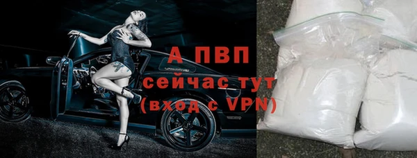 сатива Балабаново