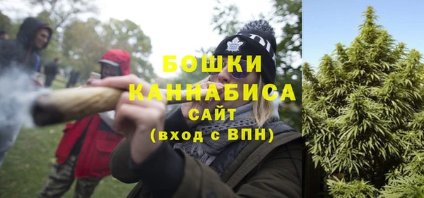 сатива Балабаново